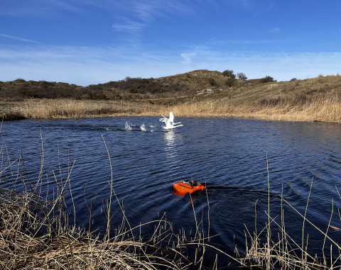 AquaSurveyor zwanen